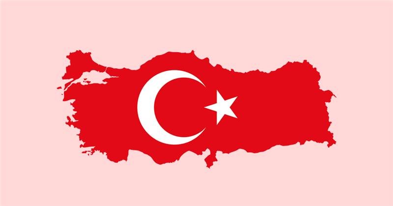 Apoiando OSCs Turcas em Resposta ao Terremoto e Mais image